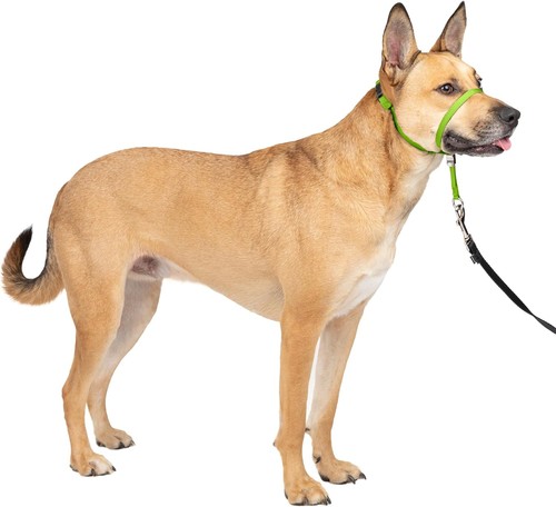 Petsafe gentle leader pull - gentle, no-pull