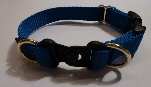 Breakaway collar petsafe - collar.,