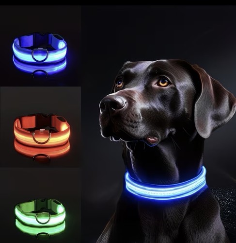 Led glow pet collar - pet,