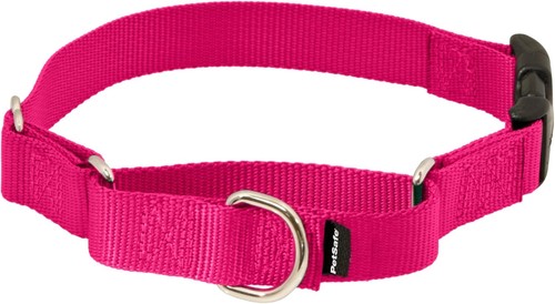 Petsafe martingale dog - martingale,