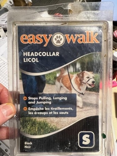 Premier easy walk - walk, head